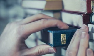 五行属木最吉利简单好听的字 五行属木最吉利的字有哪些