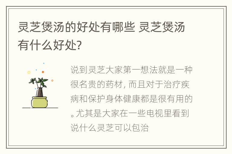 灵芝煲汤的好处有哪些 灵芝煲汤有什么好处?