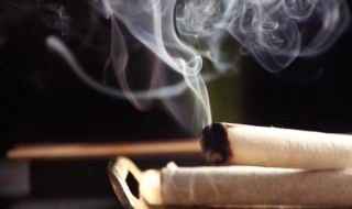 干艾草放卧室好不好 干艾草的功效