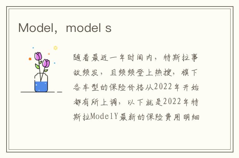 Model，model s