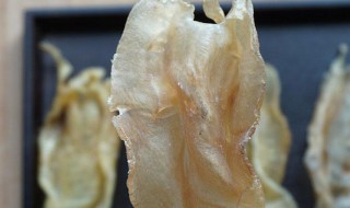 豆仁胶是什么鱼胶 豆仁胶介绍
