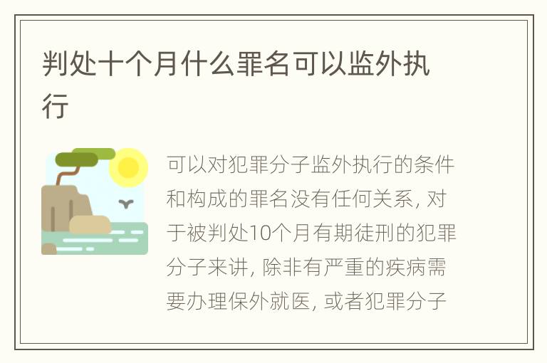 判处十个月什么罪名可以监外执行