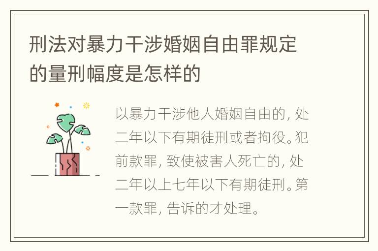 刑法对暴力干涉婚姻自由罪规定的量刑幅度是怎样的