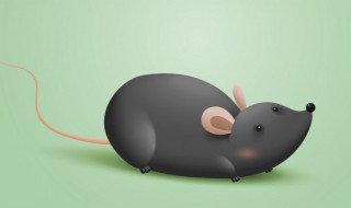 如何防止老鼠从下水道进入家中 家里食物多会引老鼠吗
