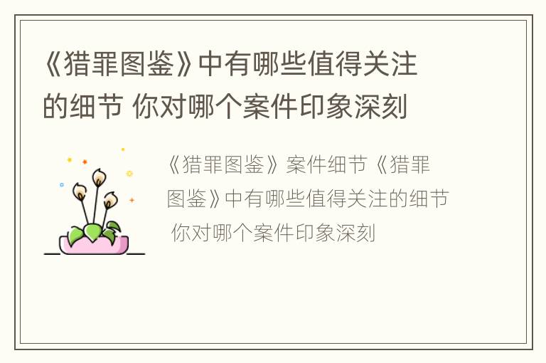 《猎罪图鉴》中有哪些值得关注的细节 你对哪个案件印象深刻