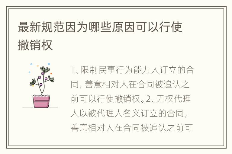 最新规范因为哪些原因可以行使撤销权