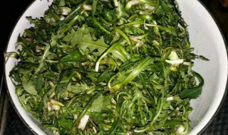 苦菜怎么做好吃又不苦 苦菜不苦的处理方法