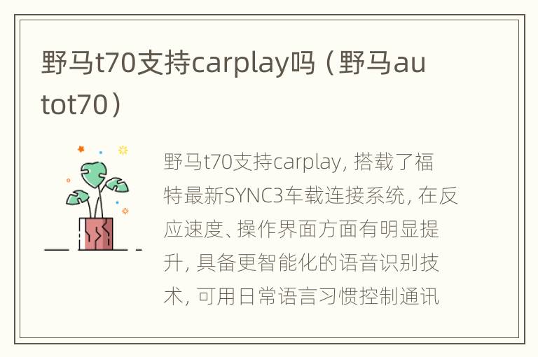 野马t70支持carplay吗（野马autot70）