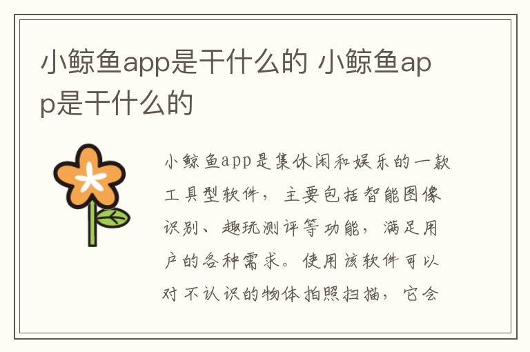小鲸鱼app是干什么的 小鲸鱼app是干什么的