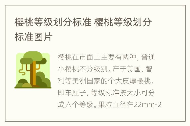 樱桃等级划分标准 樱桃等级划分标准图片