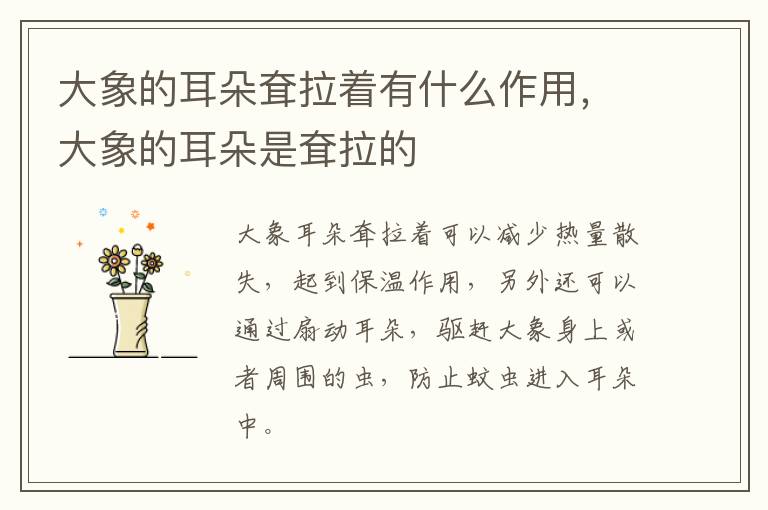 大象的耳朵耷拉着有什么作用，大象的耳朵是耷拉的