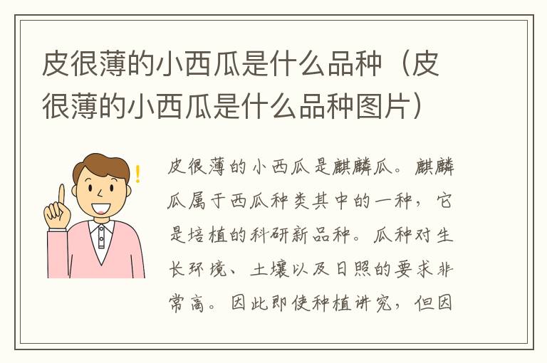 皮很薄的小西瓜是什么品种（皮很薄的小西瓜是什么品种图片）