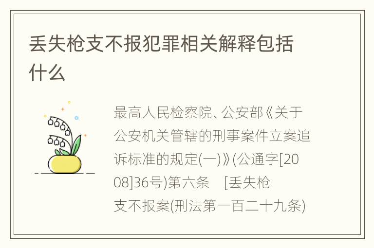 丢失枪支不报犯罪相关解释包括什么