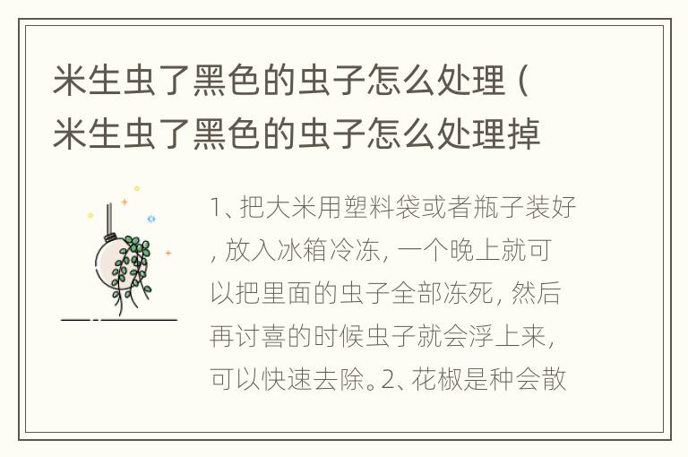 米生虫了黑色的虫子怎么处理（米生虫了黑色的虫子怎么处理掉）