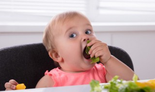 属鸡的几月出生最好命女孩子 属鸡的几月出生最好命女孩子时辰