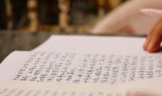 研学感悟怎么写400字 研学五日行感悟作文