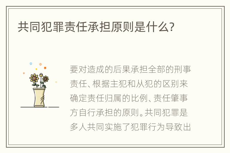 共同犯罪责任承担原则是什么？