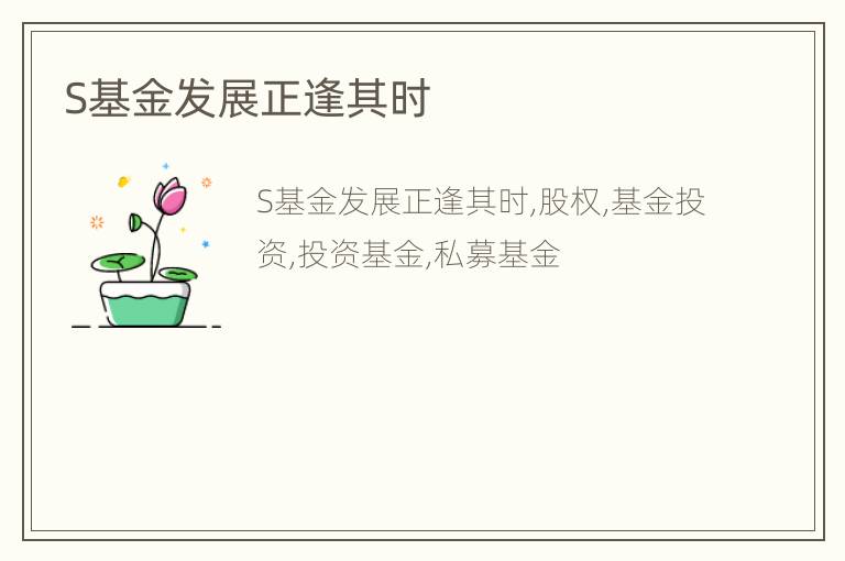 S基金发展正逢其时