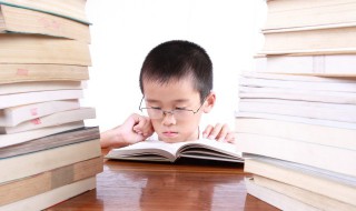 憨八龟是什么意思 憨八龟的意思是什么