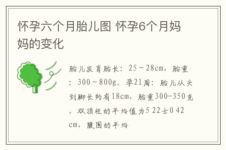 怀孕六个月胎儿图 怀孕6个月妈妈的变化