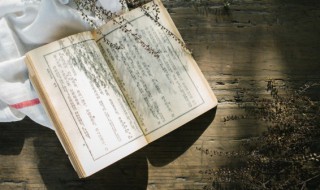 过零丁洋体裁 过零丁洋赏析