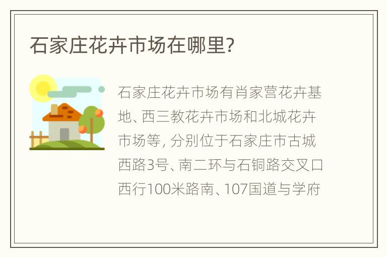 石家庄花卉市场在哪里？
