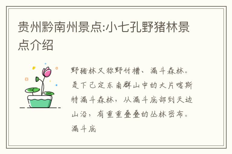 贵州黔南州景点:小七孔野猪林景点介绍