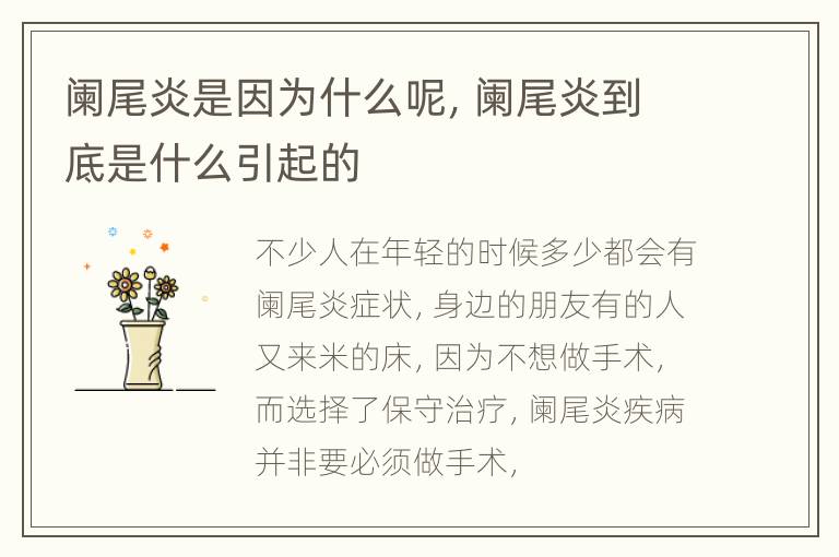 阑尾炎是因为什么呢，阑尾炎到底是什么引起的