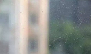 玻璃用什么擦干净又不容易脏 擦玻璃的技巧