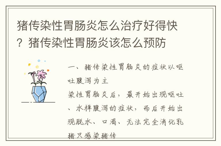 猪传染性胃肠炎怎么治疗好得快？猪传染性胃肠炎该怎么预防