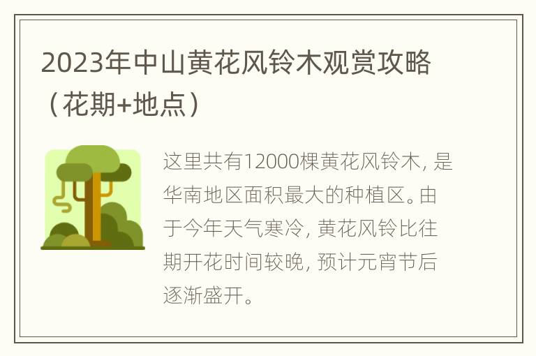 2023年中山黄花风铃木观赏攻略（花期+地点）