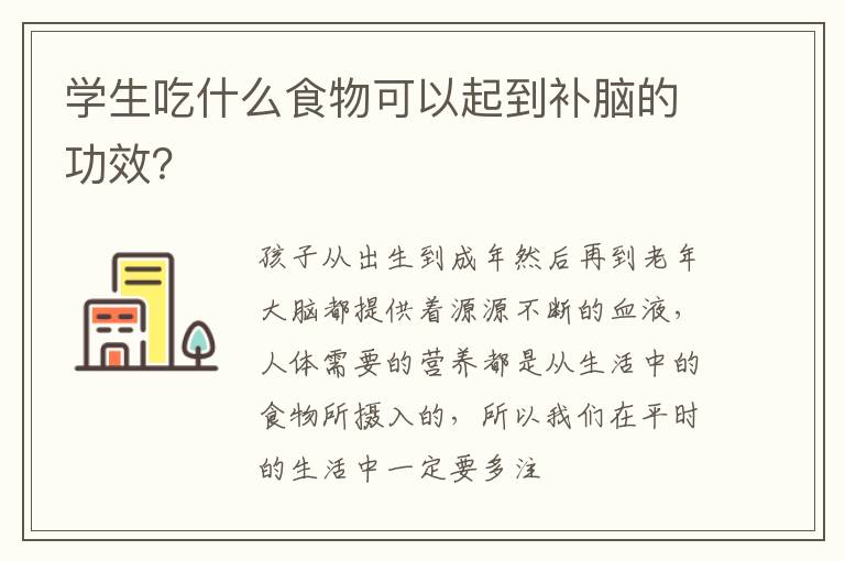学生吃什么食物可以起到补脑的功效？