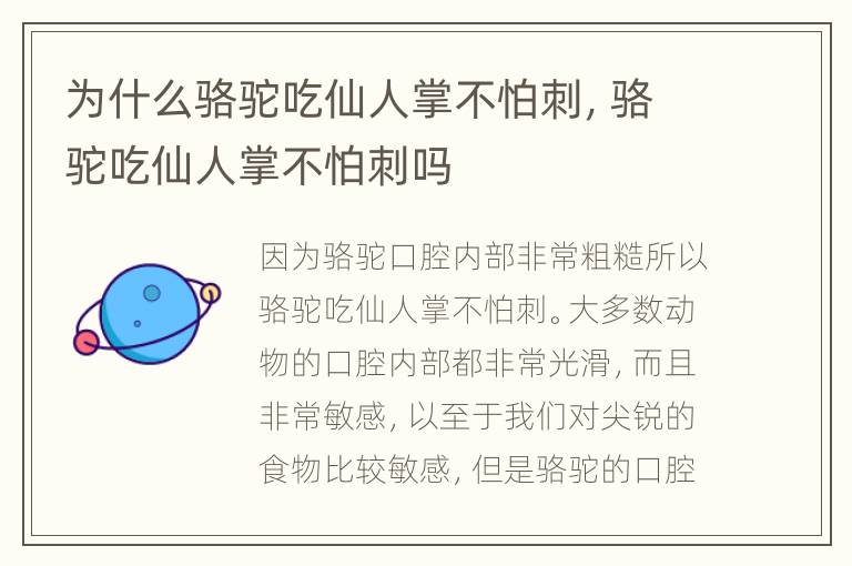 为什么骆驼吃仙人掌不怕刺，骆驼吃仙人掌不怕刺吗