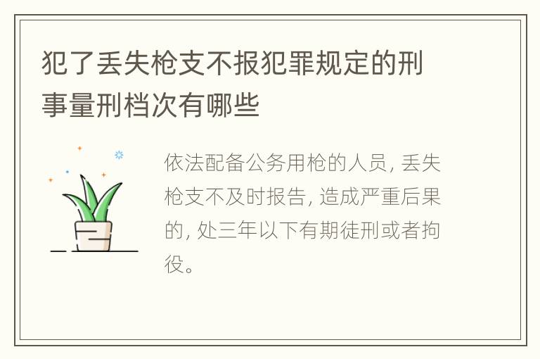 犯了丢失枪支不报犯罪规定的刑事量刑档次有哪些