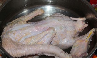 杀鸭的正宗方法 怎么杀鸭