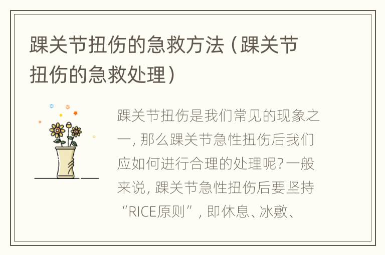 踝关节扭伤的急救方法（踝关节扭伤的急救处理）