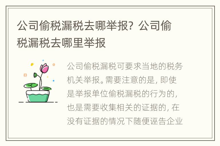 公司偷税漏税去哪举报？ 公司偷税漏税去哪里举报