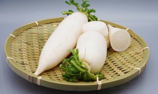 白萝卜汤做法 怎么做白萝卜汤