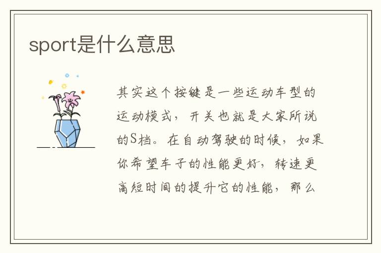 sport是什么意思