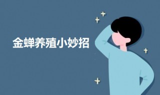 金蝉养殖小妙招 金蝉如何养殖
