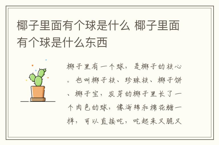 椰子里面有个球是什么 椰子里面有个球是什么东西