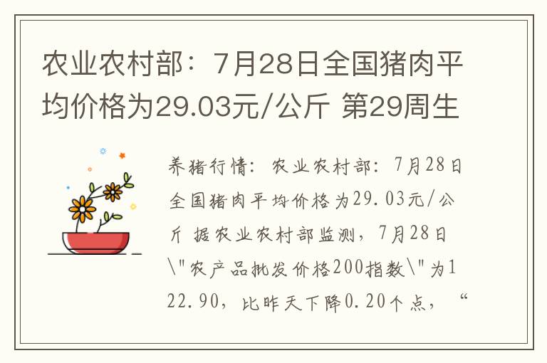 农业农村部：7月28日全国猪肉平均价格为29.03元/公斤 第29周生猪及