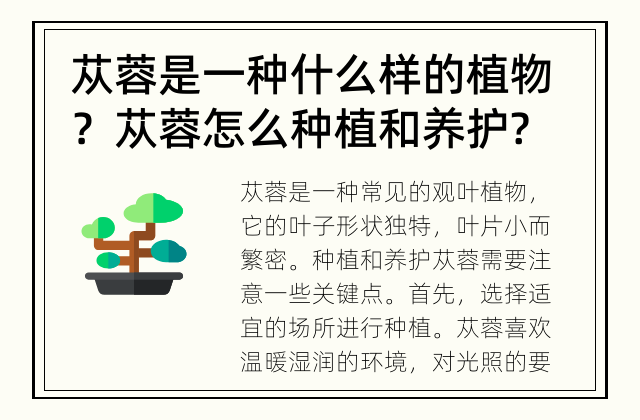 苁蓉是一种什么样的植物？ 苁蓉怎么种植和养护?