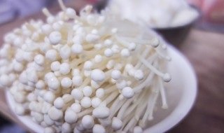 蚝油金菇 蚝油金菇的做法