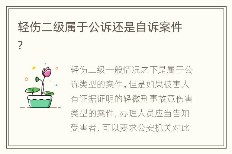 轻伤二级属于公诉还是自诉案件？