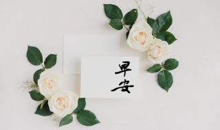 早上暖心短句有哪些 早上暖心短句精选