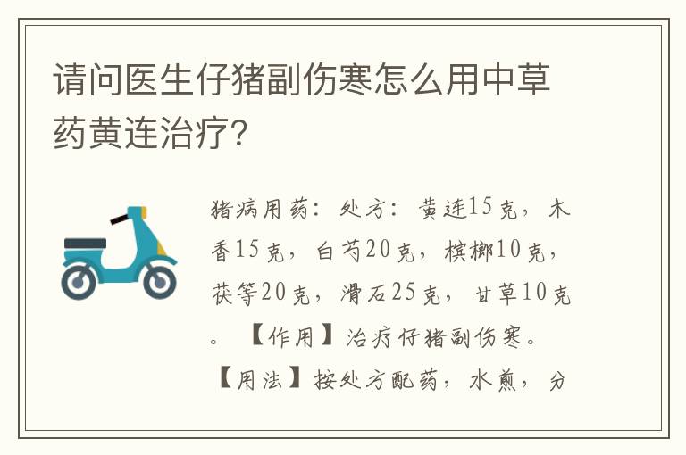 请问医生仔猪副伤寒怎么用中草药黄连治疗？