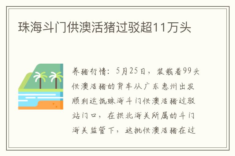 珠海斗门供澳活猪过驳超11万头