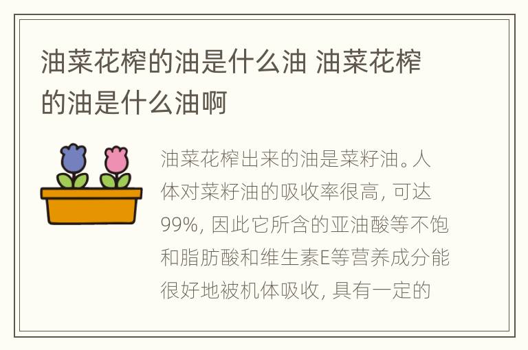 油菜花榨的油是什么油 油菜花榨的油是什么油啊
