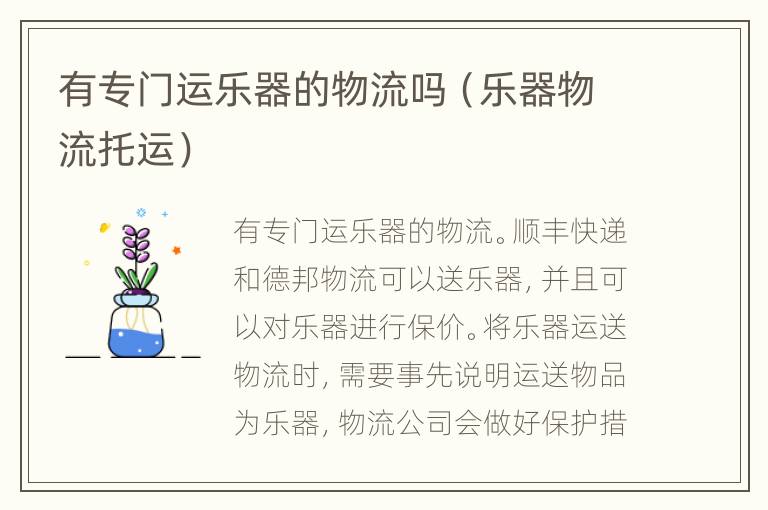 有专门运乐器的物流吗（乐器物流托运）